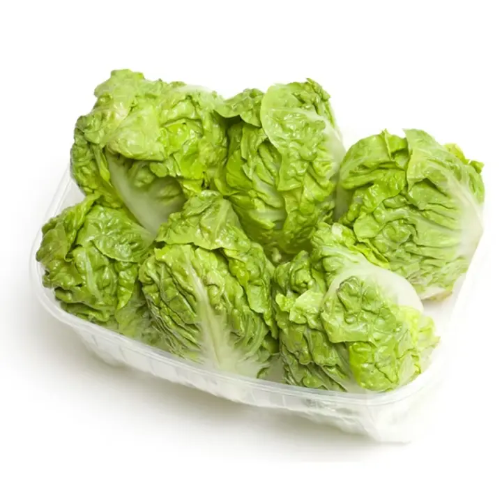 Lechuga romanita de 6 piezas, domo