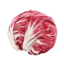 Radicchio, pieza