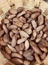 Semilla de mamey, kilo