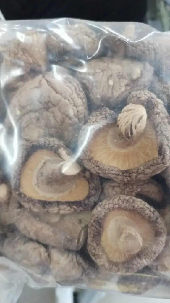 Hongo shitake deshidratado 453g, kokusan, pieza