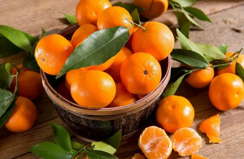 Mandarina japonesa o satsuma, kilo