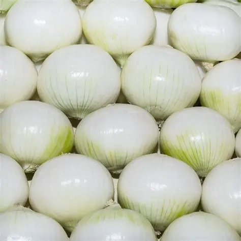 Cebolla blanca de primera, kilo (limpia)