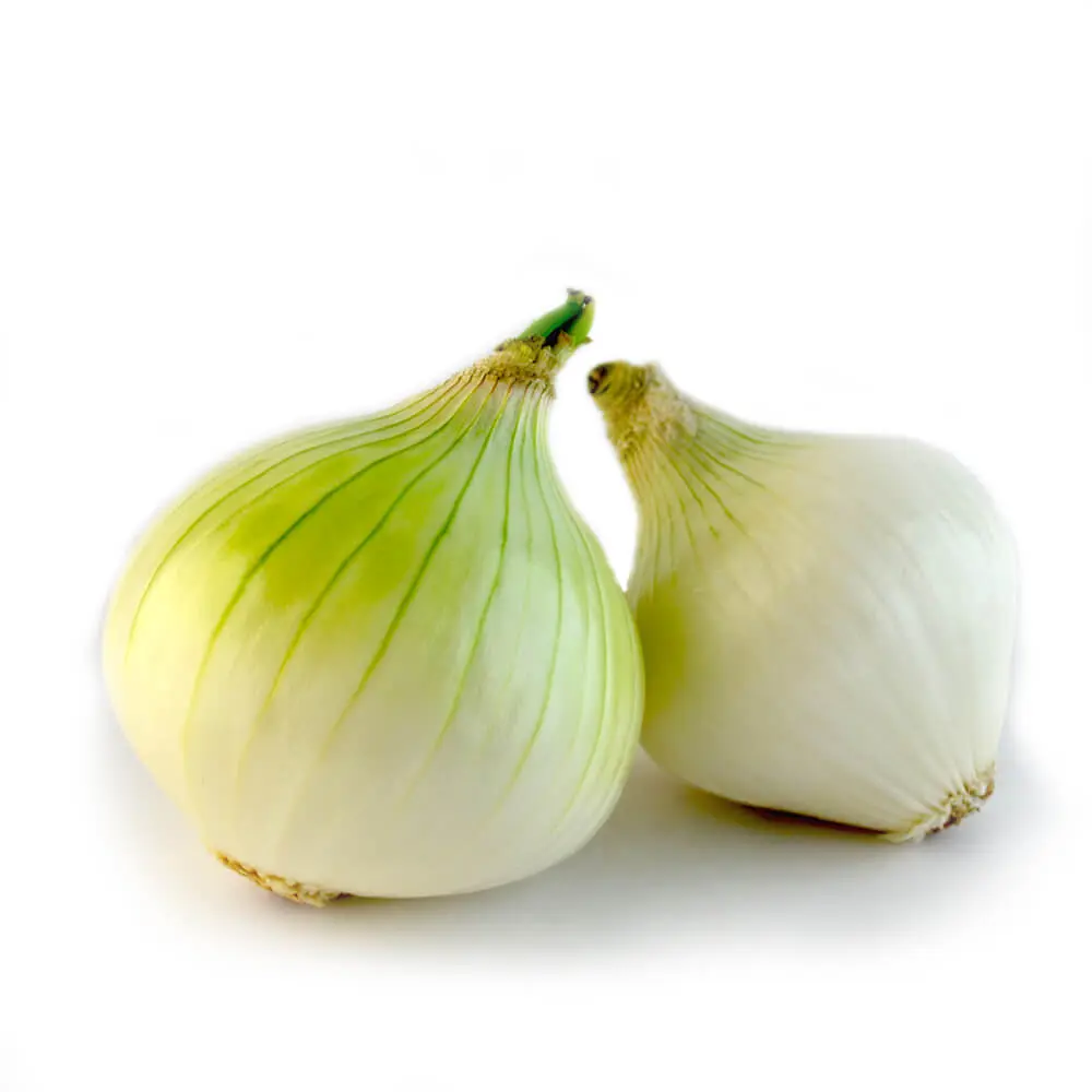 Cebolla blanca de segunda, kilo (limpia)