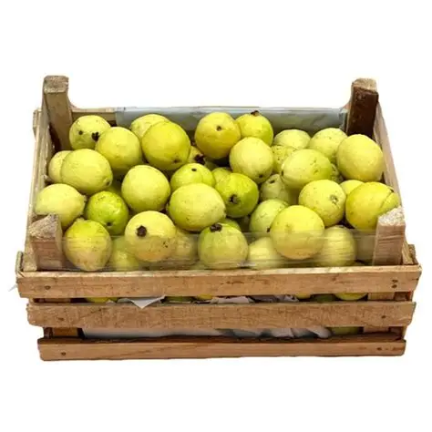 Guayaba amarilla chica de 7 kilos aprox, caja