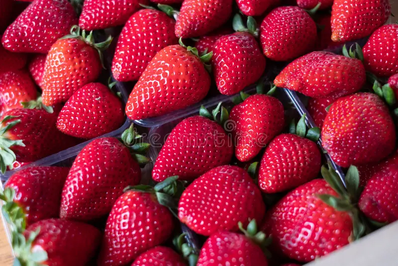 Fresa a granel, kilo (jumbo)