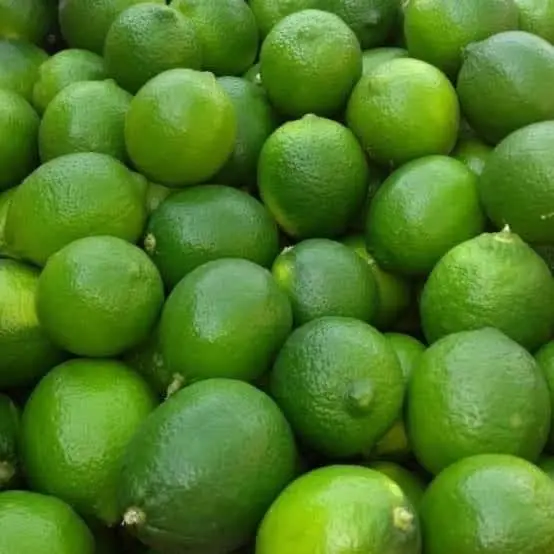 Limón sin semilla, kilo (chico)