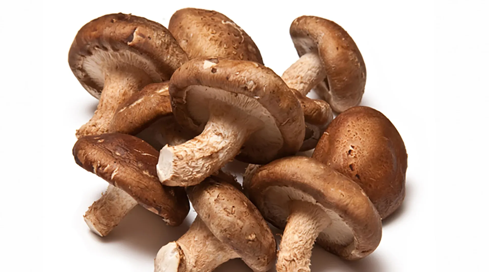 hogos setas shiitake, kilo
