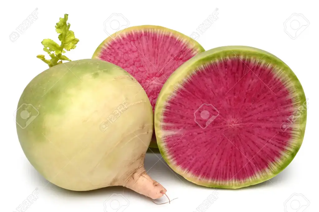 Rábano sandia, kilo (normal)