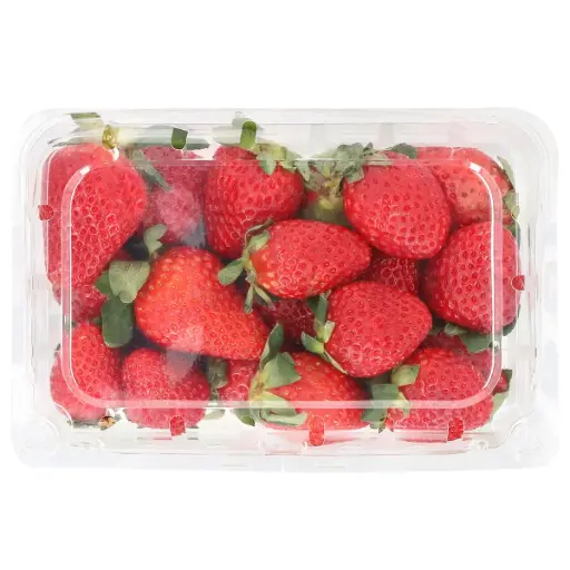 [1654] Fresas medianas domo 454 g, domo