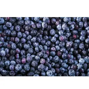 [1696] Blueberry a granel, kilo