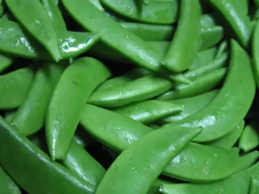 [1726] Chicharo chino o japones, kilo