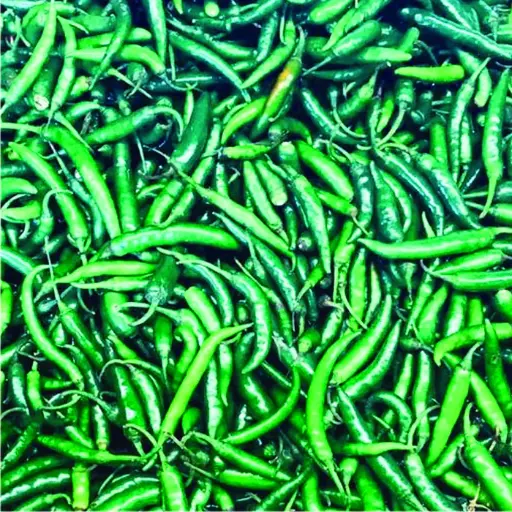 [1734] Chile de arbol verde fresco, kilo