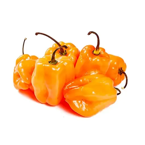 [1736] Chile habanero naranja, kilo