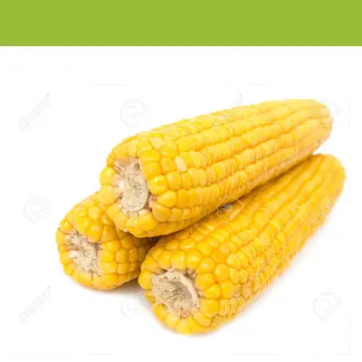 [1771] Elote amarillo, 3 piezas, paquete