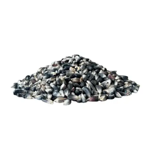 [1772] Elote azul desgranado, kilo