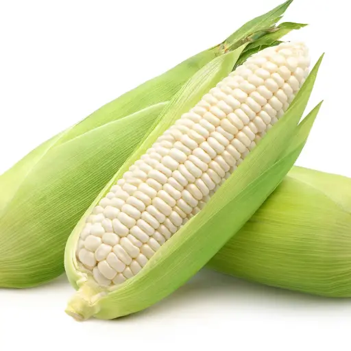 [1778] Elote blanco pieza, pieza