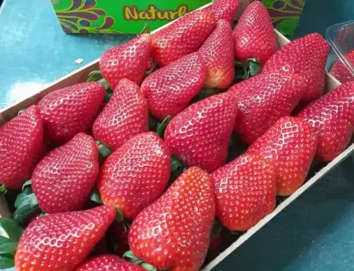 [1791] Fresa a granel jumbo nacional, kilo