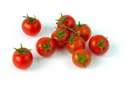 [1818] Jitomate cherry kilo, kilo