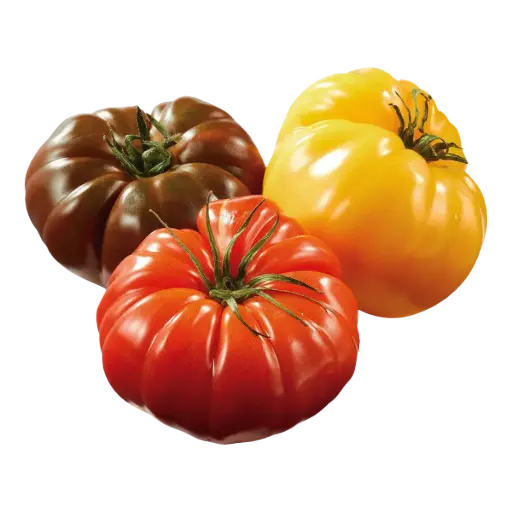 [1827] Jitomate heirloom, kilo