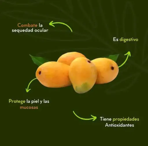 [1860] Mango ataulfo, kilo