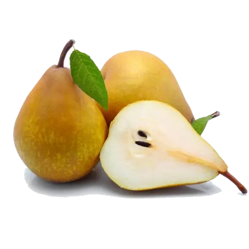 [1926] Pera bosc (café), kilo