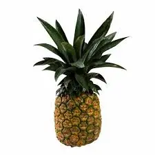 [1930] Piña miel grande, pieza