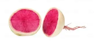 [2631] Rábano sandia, pieza