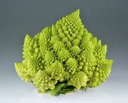 [1953] Romanesco, pieza