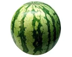 [1958] Sandia pequeña, pieza