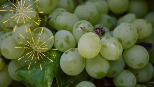 [1975] Uva verde grande, kilo