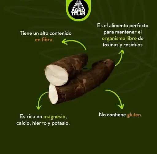 [1983] Yuca revisada, kilo
