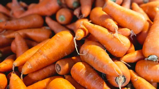 [1989] Zanahoria leñero (mas de 80 kilos), kilo