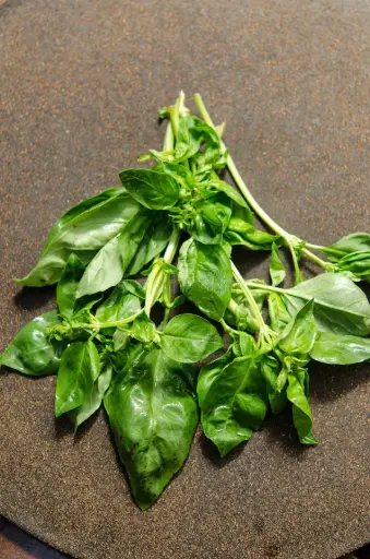 [2145A] Albahaca genovesa, kilo