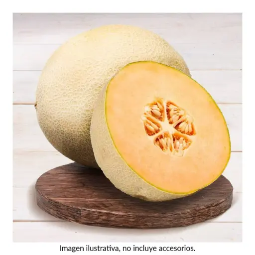 [1879A] Melon chino pequeño, pieza