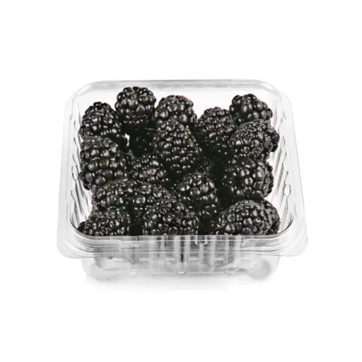 [593A] Zarzamora domo 170 grs 12 pz, caja